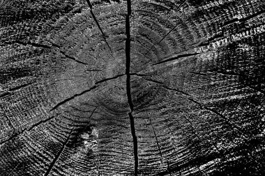 pis ahşap doku arkaplanı