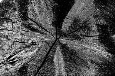 pis ahşap doku arkaplanı