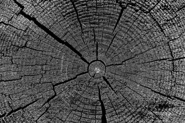 pis ahşap doku arkaplanı