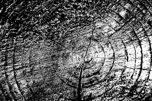 グランジー木の質感の背景 — ストック写真