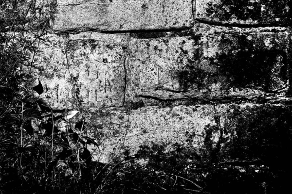 Ancien Fond Texture Mur — Photo