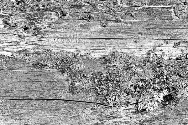 stock image Wooden texture. The texture of old wood.