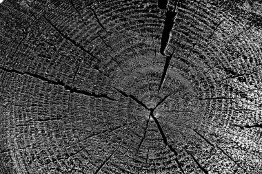 pis ahşap doku arkaplanı