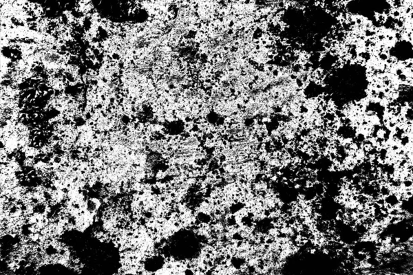 Parmelia Saxatilis Lichen Texture Fond — Photo