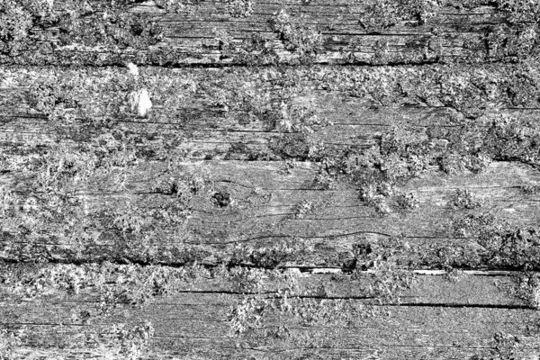 Wooden Texture Texture Old Wood — Stock Photo, Image