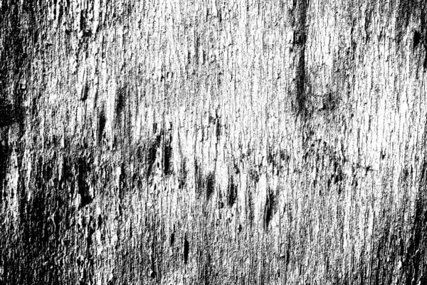 Abstraktní Pozadí Monochromní Textura Černobílé Texturované Pozadí — Stock fotografie