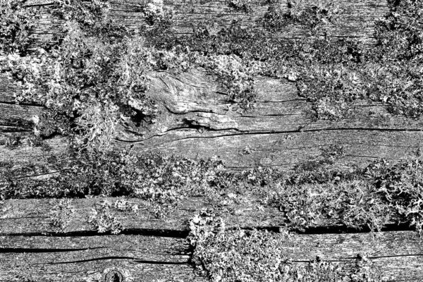 Wooden Texture Texture Old Wood — Stock Photo, Image