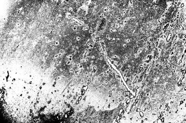 Soyut arkaplan. Monokrom dokusu. Siyah ve beyaz desenli arkaplan.      