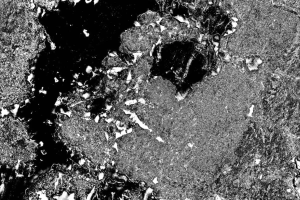 Абстрактный Фон Монохромная Текстура Черно Белый Текстурированный Фон — стоковое фото