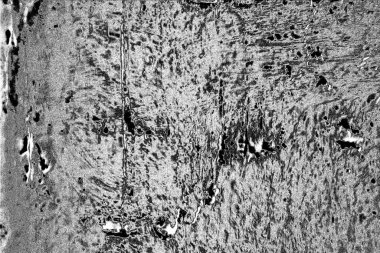 Duvarın görüntüsü, eski bir arkaplan..