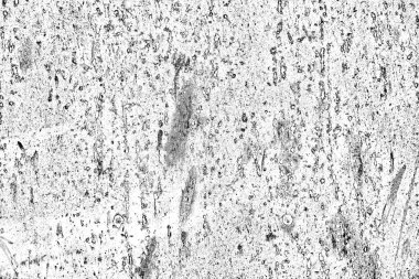 Soyut siyah beyaz arka plan. monokrom dokusu. 