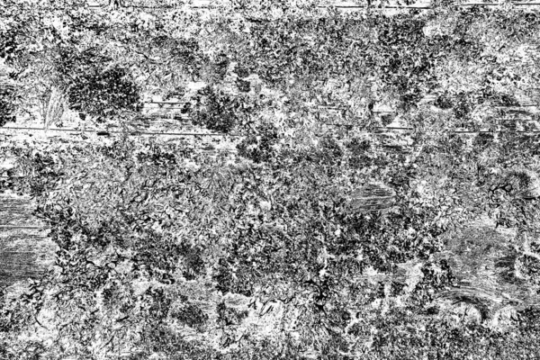 Деревянная Текстура Текстура Старого Дерева — стоковое фото