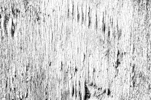 Textura Madeira Textura Madeira Velha — Fotografia de Stock