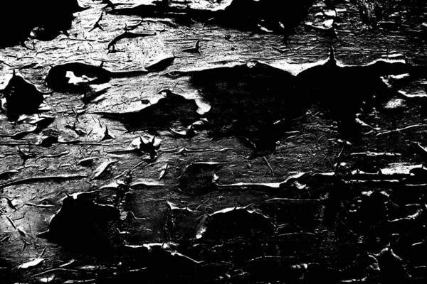 Contexte Abstrait Texture Monochrome Fond Texturé Noir Blanc — Photo