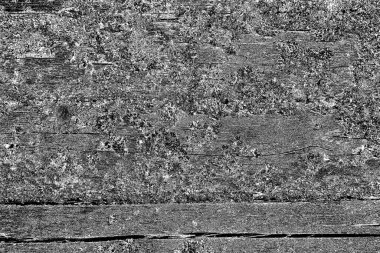 Tahta doku. Eski ahşabın dokusu.