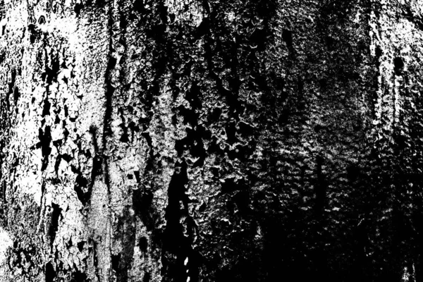 Sfondo Astratto Struttura Monocromatica Bianco Nero Sfondo Strutturato — Foto Stock