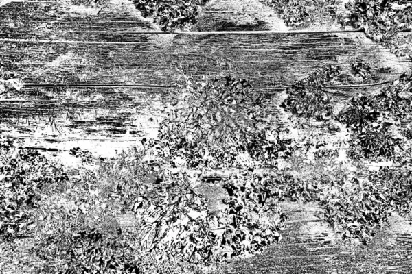 Дерев Яна Текстура Текстура Старого Дерева — стокове фото
