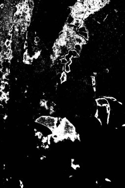 Soyut arkaplan. Monokrom dokusu. Siyah ve beyaz desenli arkaplan.       