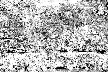 Tahta doku. Eski ahşabın dokusu.