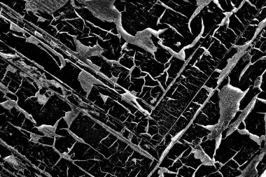 Soyut arkaplan. Monokrom dokusu. Siyah ve beyaz desenli arkaplan.      