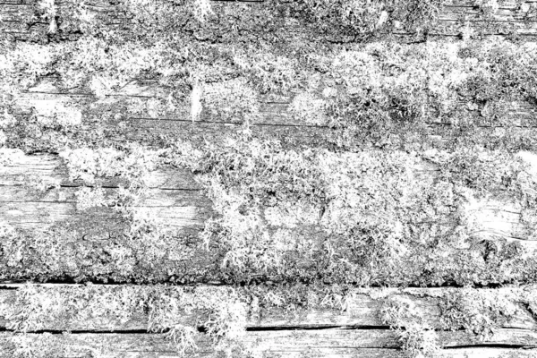 Wooden Texture Texture Old Wood — Stock Photo, Image