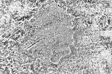 Soyut arkaplan. Monokrom dokusu. Siyah ve beyaz desenli arkaplan.      