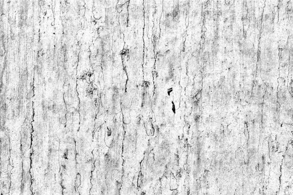 Fondo Abstracto Textura Monocromática Fondo Texturizado Blanco Negro — Foto de Stock