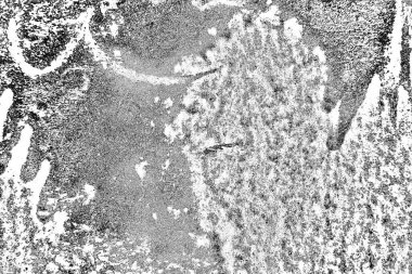 Soyut arkaplan. Monokrom dokusu. Siyah ve beyaz desenli arkaplan.      