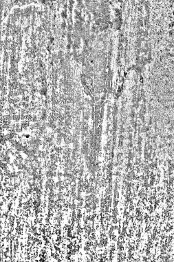 Soyut arkaplan. Monokrom dokusu. Siyah ve beyaz desenli arkaplan.      