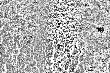 Soyut arkaplan. Monokrom dokusu. Siyah ve beyaz desenli arkaplan.      