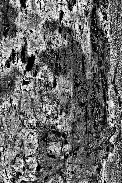 Abstracte Achtergrond Monochrome Textuur Zwart Wit Textuur Achtergrond — Stockfoto