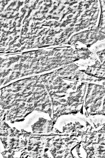 Абстрактный Фон Монохромная Текстура Черно Белый Текстурированный Фон — стоковое фото