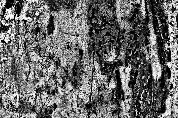 Contexte Abstrait Texture Monochrome Fond Texturé Noir Blanc — Photo