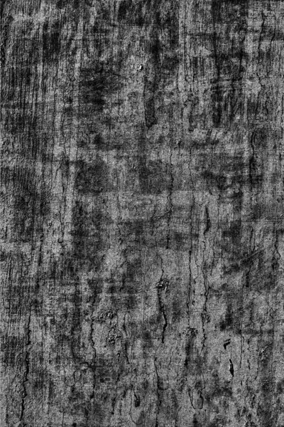 Abstract Black White Textured Background Monochrome Texture — Stock Photo, Image