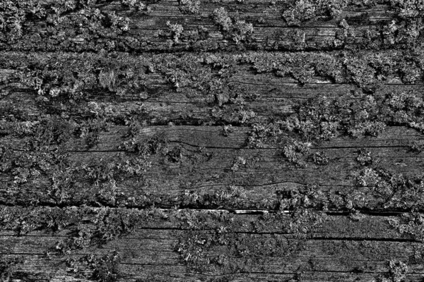 Wooden Texture Texture Old Wood — Stock Photo, Image