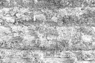 Tahta doku. Eski ahşabın dokusu.