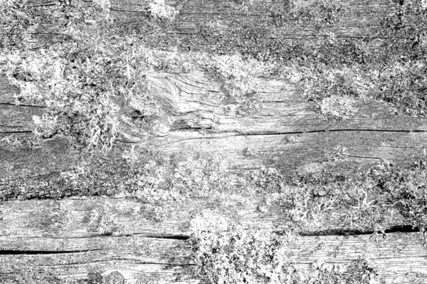 Wooden Texture Texture Old Wood — Stock Photo, Image