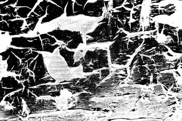 Fondo Abstracto Textura Monocromática Fondo Texturizado Blanco Negro — Foto de Stock