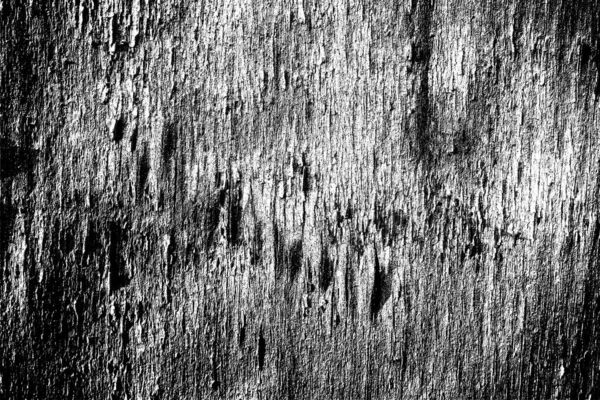 Abstraktní Pozadí Monochromní Textura Černobílé Texturované Pozadí — Stock fotografie