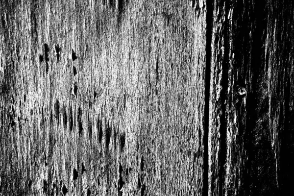 Abstraktní Pozadí Monochromní Textura Černobílé Texturované Pozadí — Stock fotografie