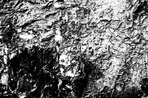 Fondo Abstracto Textura Monocromática Fondo Texturizado Blanco Negro — Foto de Stock