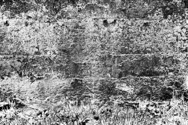 Sfondo Astratto Bianco Nero Texture Monocromatica — Foto Stock