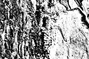 Soyut arkaplan. Monokrom dokusu. Siyah ve beyaz desenli arkaplan.      