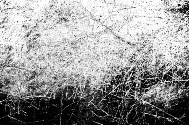 Soyut arkaplan. Monokrom dokusu. Siyah ve beyaz desenli arkaplan.      