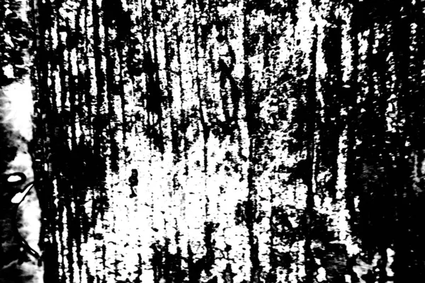 Fondo Abstracto Textura Monocromática Fondo Texturizado Blanco Negro —  Fotos de Stock