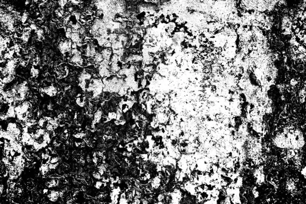 Contexte Abstrait Texture Monochrome Fond Texturé Noir Blanc — Photo