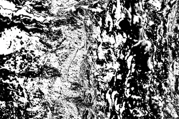 Contexte Abstrait Texture Monochrome Fond Texturé Noir Blanc — Photo