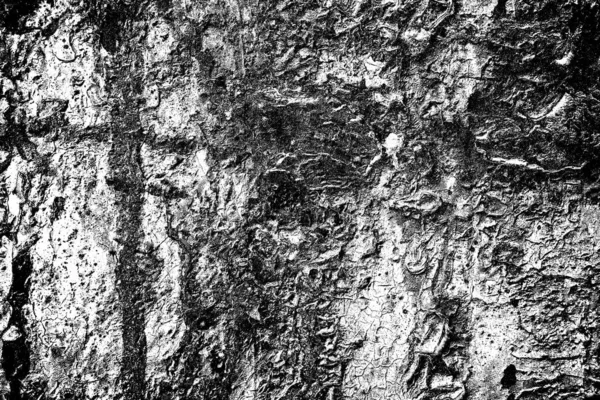 Contexte Abstrait Texture Monochrome Fond Texturé Noir Blanc — Photo