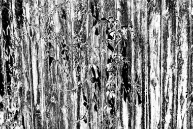 Soyut arkaplan. Monokrom dokusu. Siyah ve beyaz desenli arkaplan.      