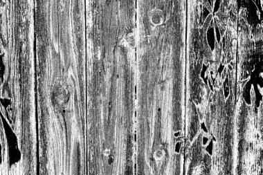 Soyut arkaplan. Monokrom dokusu. Siyah ve beyaz desenli arkaplan.      